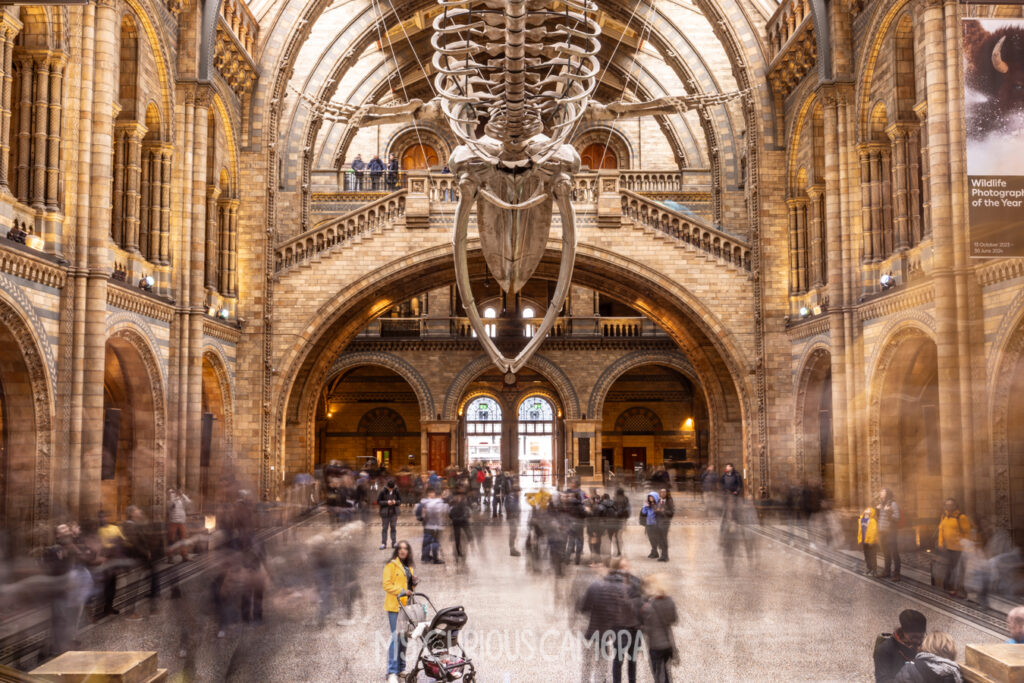 Foyer of Natural History Museum in London with people bustling about