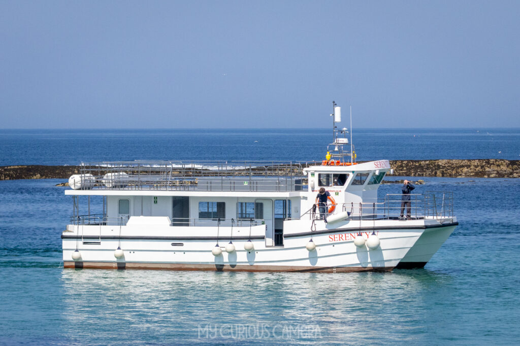 Serenity Boating Tours sits waiting for us in the beautiful, crystal clear blue waters around the Farne Islands